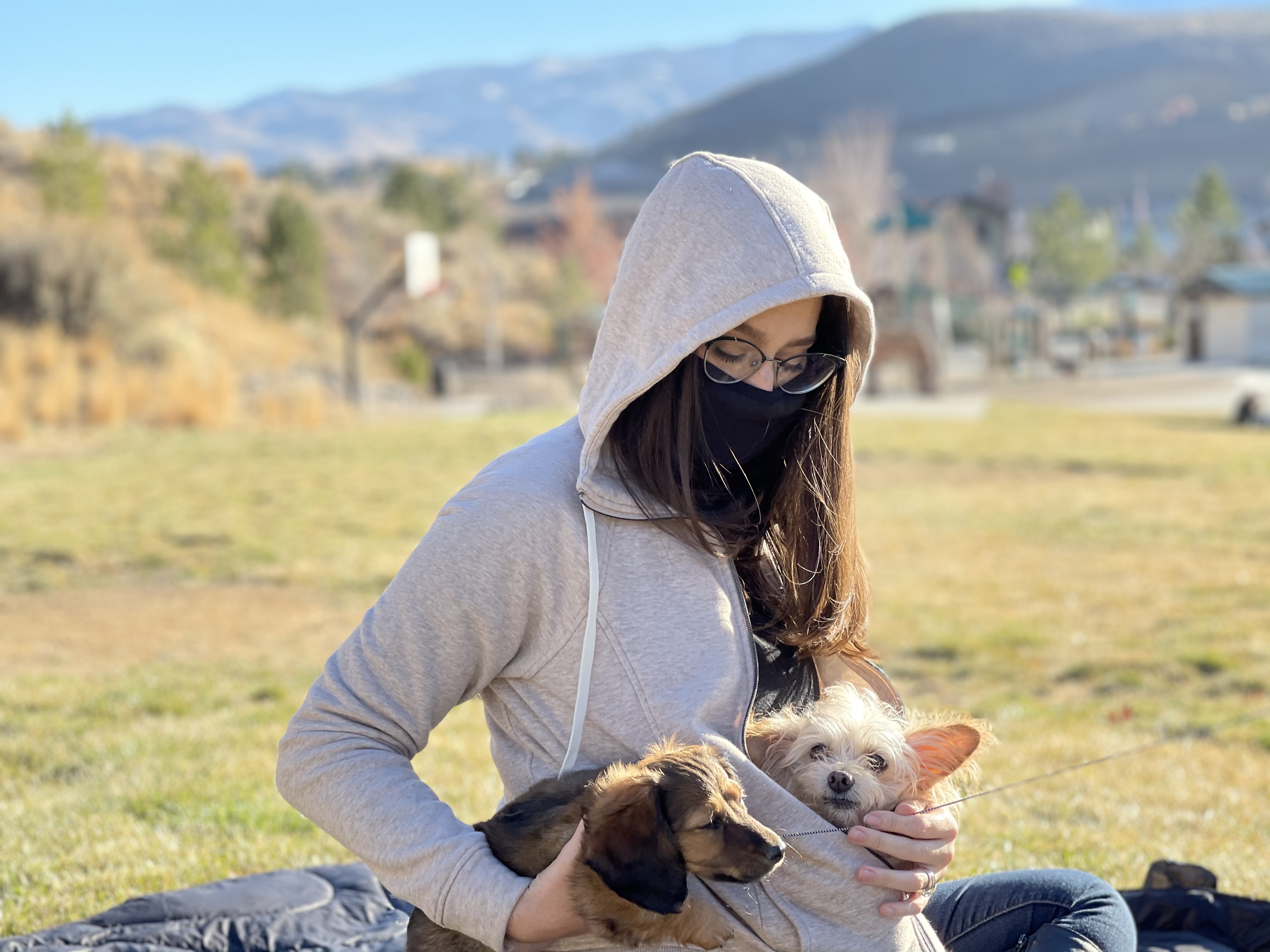 Samantha in a hoodie with two small dogs in a sunny park